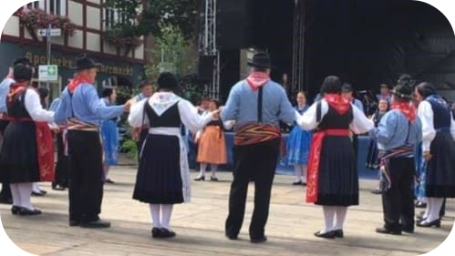 saviese 3