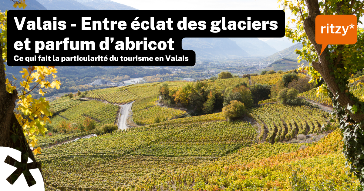 Vue panoramique des vignobles en terrasses de Valais, Suisse, avec des montagnes en arrière-plan et un ciel dégagé.