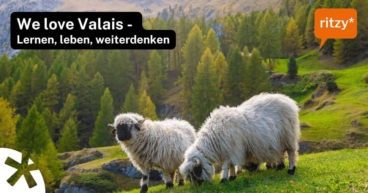 Symbolbild für Weiterbildung bei ritzy*: Eine Person im Vordergrund zeigt eine positive Geste, im Hintergrund steht ein Team – Sinnbild für Motivation, Führung und Teamstärkung in Zeiten des Personalmangels.
